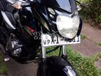 Bajaj Pulsar 135 2012