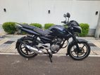 Bajaj Pulsar 135 2012