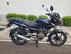 Bajaj Pulsar 135 2012