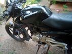 Bajaj Pulsar 135 2012