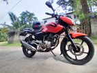 Bajaj Pulsar 135 2012