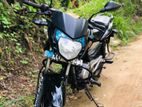 Bajaj Pulsar 135 2012