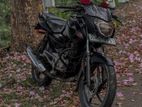 Bajaj Pulsar 135 2012