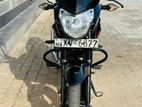 Bajaj Pulsar 135 2012