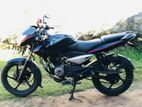 Bajaj Pulsar 135 2012