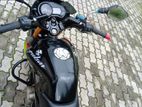 Bajaj Pulsar 135 2013