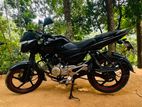 Bajaj Pulsar 135 2013