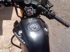 Bajaj Pulsar 135 2013