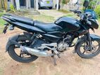 Bajaj Pulsar 135 2013