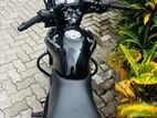 Bajaj Pulsar 135 2013