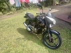 Bajaj Pulsar 135 2013