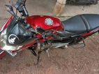 Bajaj Pulsar 135 2013