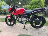 Bajaj Pulsar 135 2013