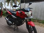 Bajaj Pulsar 135 2013
