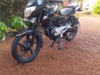 Bajaj Pulsar 135 2013