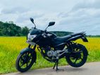 Bajaj Pulsar 135 2013