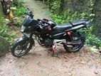 Bajaj Pulsar 135 2013