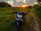 Bajaj Pulsar 135 2013