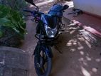 Bajaj Pulsar 135 2013