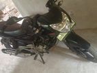 Bajaj Pulsar 135 2013
