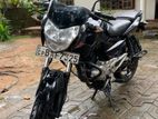 Bajaj Pulsar 135 2013