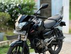 Bajaj Pulsar 135 2013
