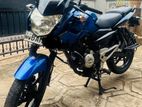 Bajaj Pulsar 135 2013