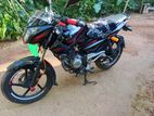 Bajaj Pulsar 135 2013