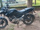 Bajaj Pulsar 135 2014