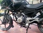 Bajaj Pulsar 135 2014