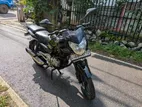 Bajaj Pulsar 135 2014