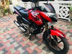 Bajaj Pulsar 135 2014