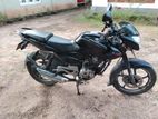 Bajaj Pulsar 135 2014