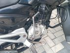 Bajaj Pulsar 135 2014
