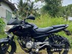 Bajaj Pulsar 135 2014