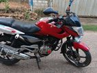 Bajaj Pulsar 135 2014