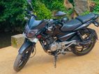 Bajaj Pulsar 135 2014