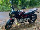 Bajaj Pulsar 135 2014