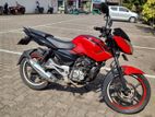 Bajaj Pulsar 135 2014