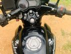 Bajaj Pulsar 135 2014
