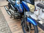 Bajaj Pulsar 135 2014