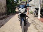 Bajaj Pulsar 135 2015