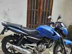 Bajaj Pulsar 135 2015
