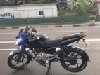 Bajaj Pulsar 135 2015