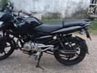 Bajaj Pulsar 135 2015