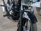 Bajaj Pulsar 135 2015