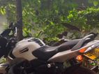 Bajaj Pulsar 135 2015