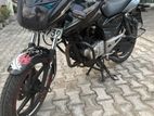 Bajaj Pulsar 135 2015