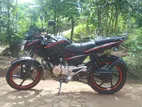 Bajaj Pulsar 135 2015