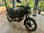 Bajaj Pulsar 135 2015
